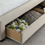 Newton Warmstone Velvet 4 Drawer Storage Bed King - Rogey