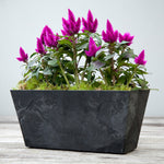 Balcony Trough Ella black H17Cm D55Cm - Rogey