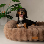 Scruffs Alpine Box Bed Large - Taupe (75 x 60cm) - Rogey