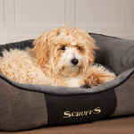 Scruffs Chester Box Bed Medium - Graphite (60 x 50cm) - Rogey