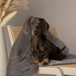 Scruffs Cosy Blanket Grey (110 x 72.5cm) - Rogey