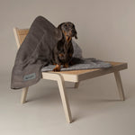 Scruffs Cosy Blanket Grey (110 x 72.5cm) - Rogey