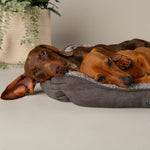 Scruffs Cosy Box Bed - Medium - Grey (60 x 50cm) - Rogey