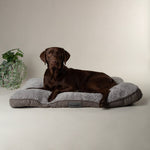 Scruffs Cosy Mattress Large - Grey (100 x 70cm) - Rogey