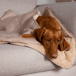 Scruffs Snuggle Blanket Desert Sand (110 x 72.5cm) - Rogey
