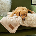 Scruffs Snuggle Blanket Desert Sand (110 x 72.5cm) - Rogey