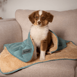 Scruffs Snuggle Blanket Sage Green (110 x 72.5cm) - Rogey