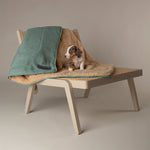 Scruffs Snuggle Blanket Sage Green (110 x 72.5cm) - Rogey