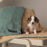 Scruffs Snuggle Blanket Sage Green (110 x 72.5cm) - Rogey