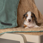 Scruffs Snuggle Blanket Sage Green (110 x 72.5cm) - Rogey