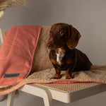 Scruffs Snuggle Blanket Terracotta (110 x 72.5cm) - Rogey