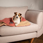 Scruffs Snuggle Blanket Terracotta (110 x 72.5cm) - Rogey