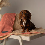 Scruffs Snuggle Blanket Terracotta (110 x 72.5cm) - Rogey
