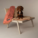 Scruffs Snuggle Blanket Terracotta (110 x 72.5cm) - Rogey