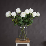 Traditional White Rose - Rogey